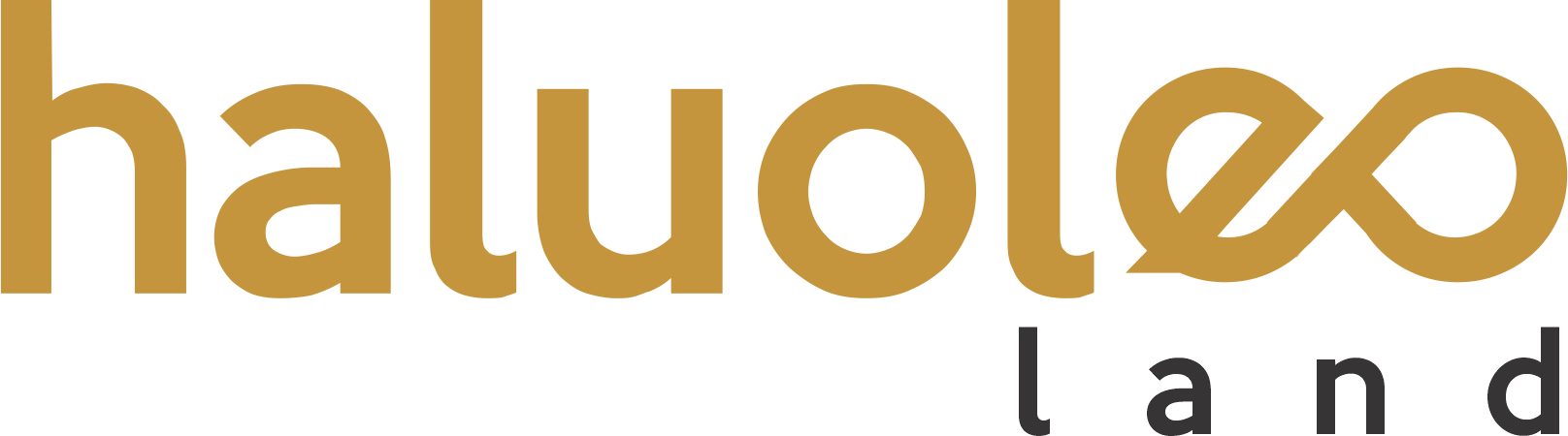 logo colour HALUOLEO